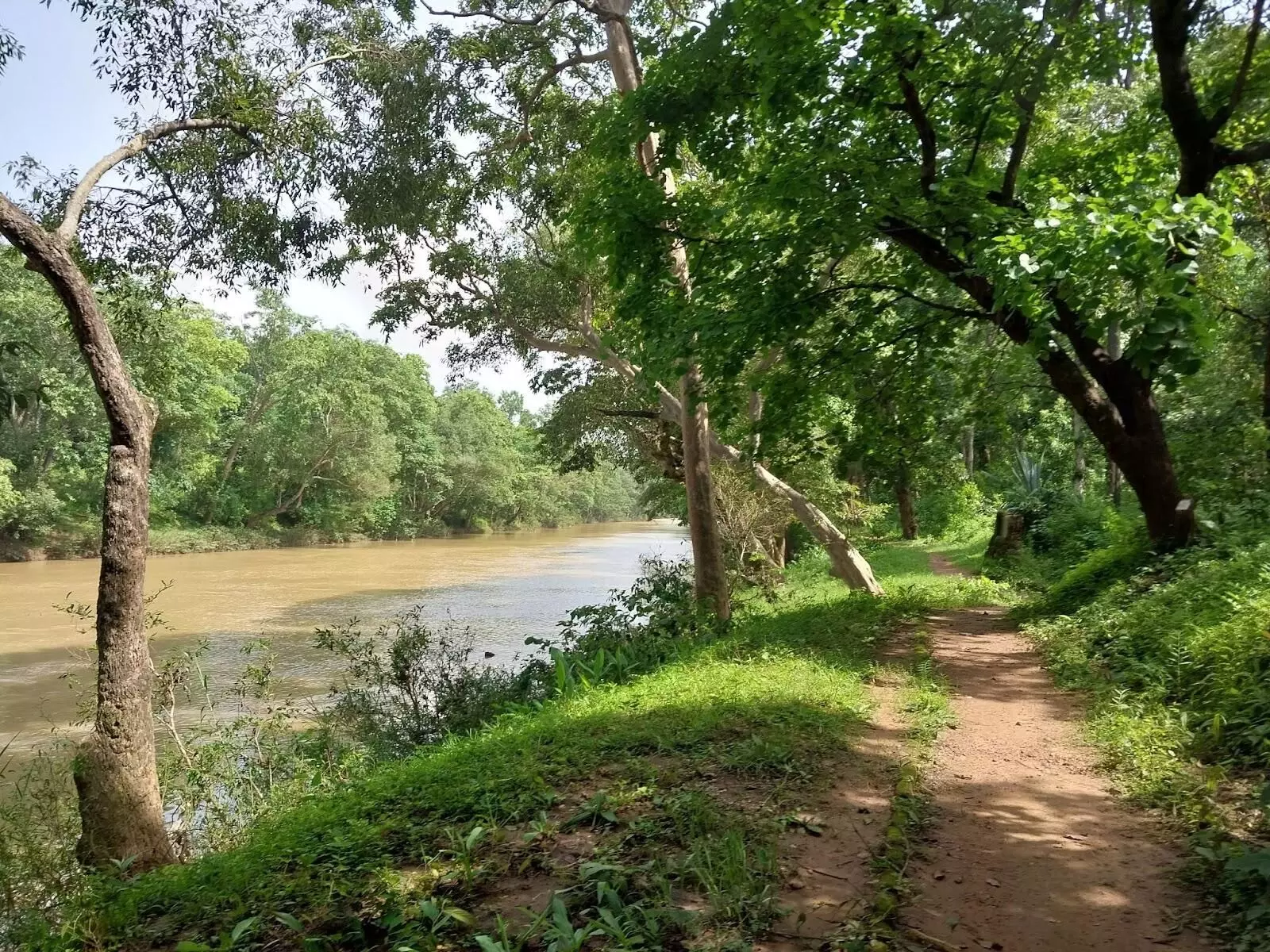Nature Trail